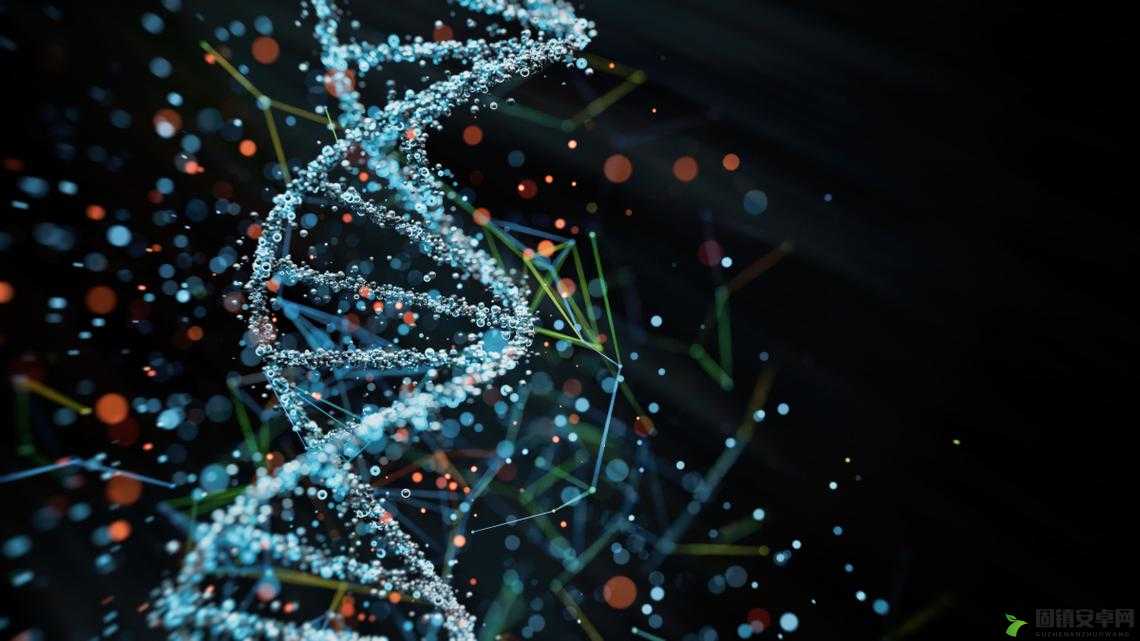 母亲 dna 和儿子 dna 一样不这一观点的深度剖析与探讨