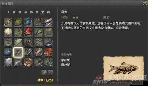 最终幻想14钓鱼如何玩，FF14正确钓鱼技巧心得全解析